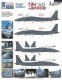 1/72 058: F-15E Da' Heath